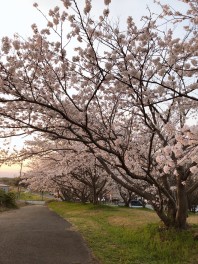 お得にかえるプランあります！！